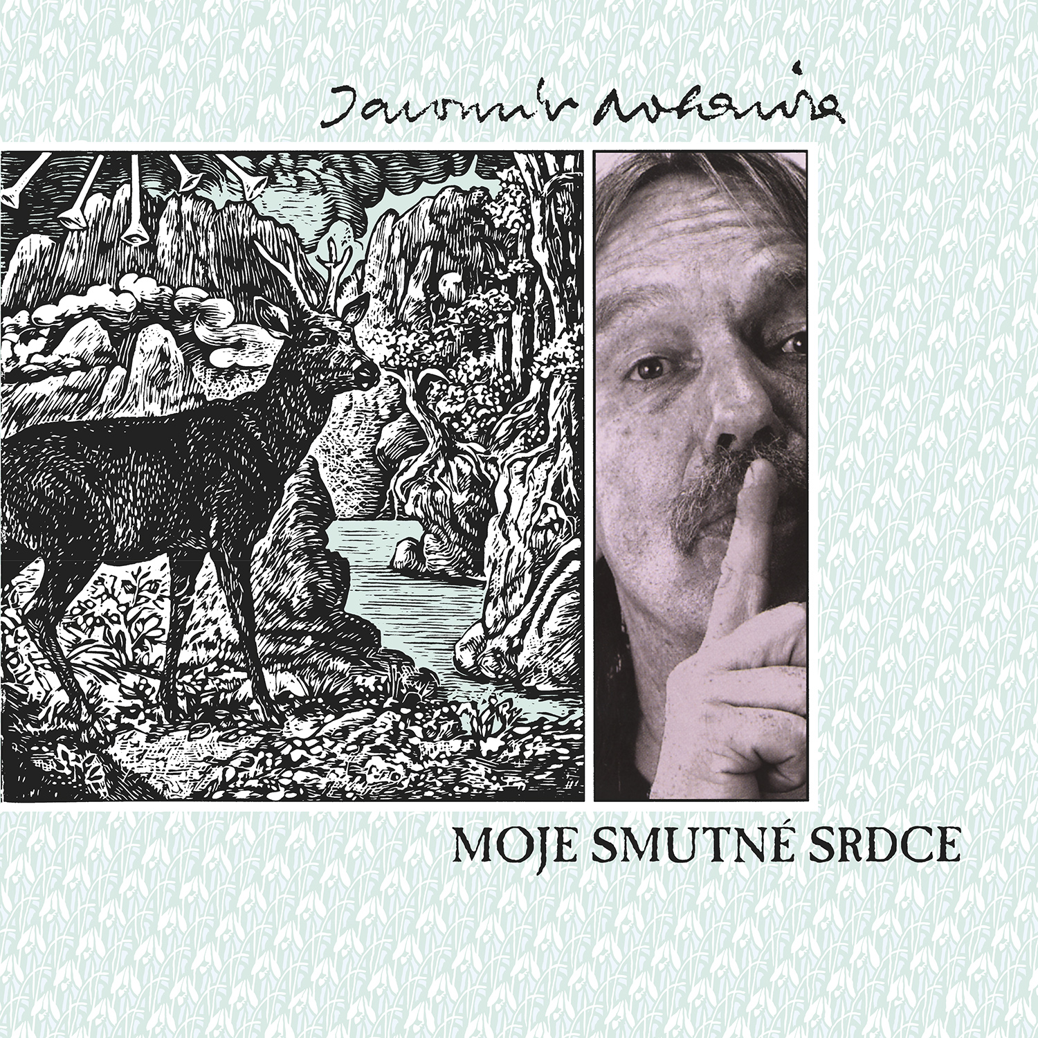 Nohavica, Jaromir - Moje Smutne Srdce, Vinyl Album